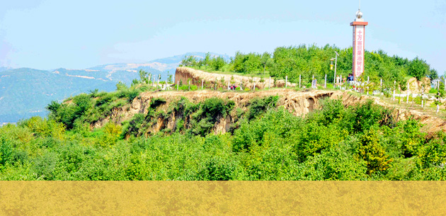 ʮ��Ķ�����������