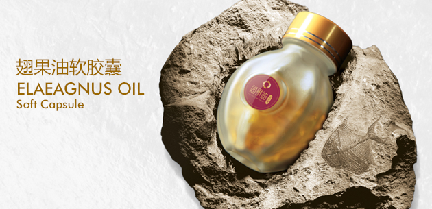 �����������������	